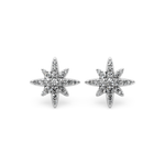 Snow flake Earrings