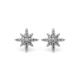 Snow flake Earrings